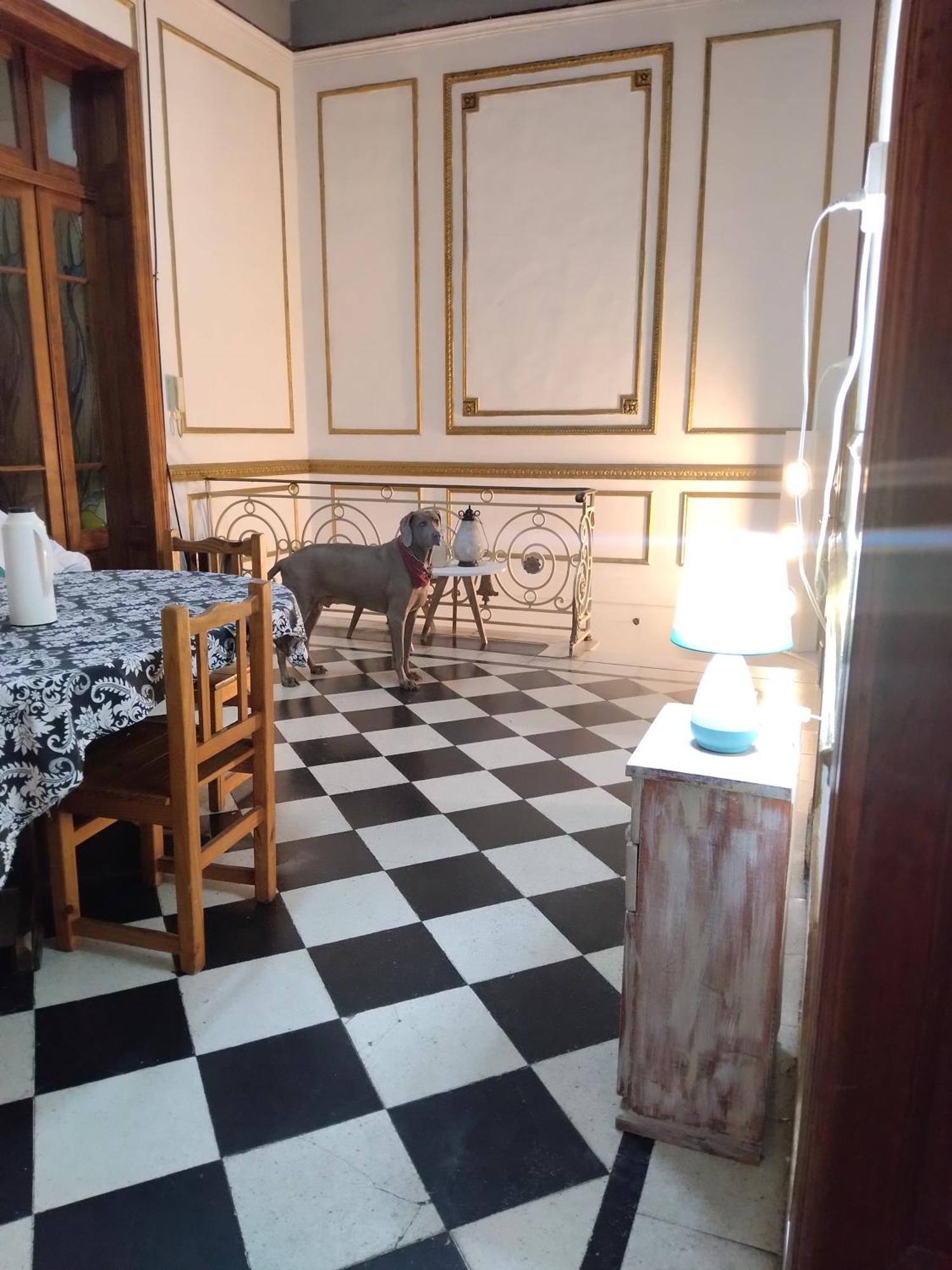Dante Y Compania Pansiyon Buenos Aires Dış mekan fotoğraf