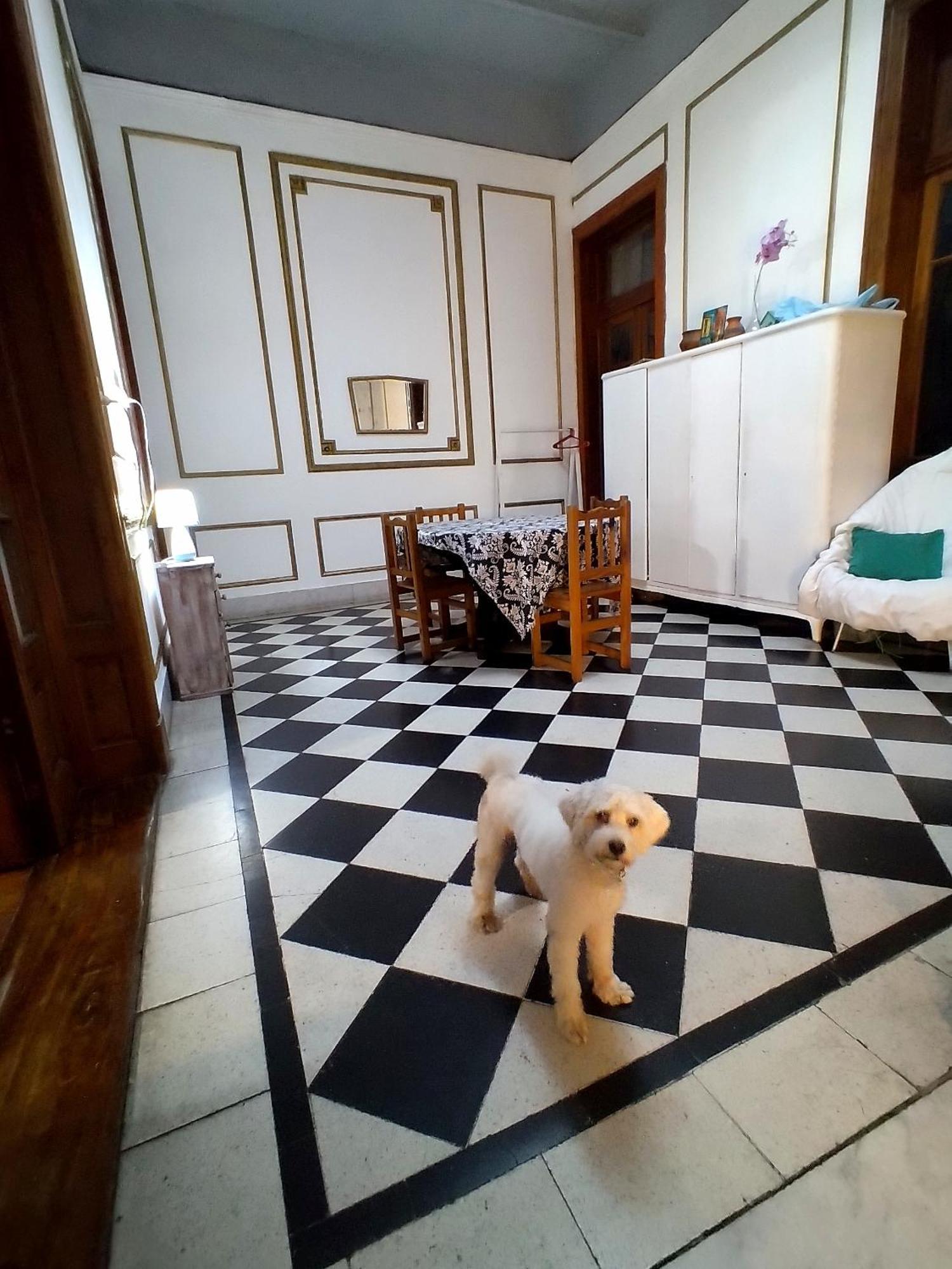 Dante Y Compania Pansiyon Buenos Aires Dış mekan fotoğraf